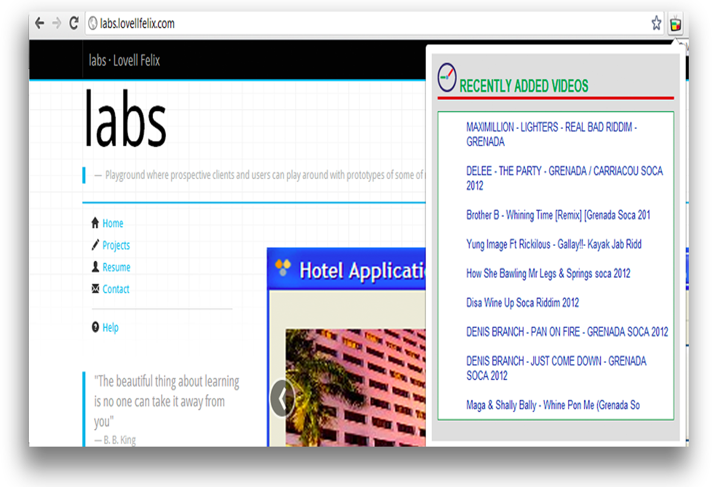 G-VIDZ.COM Chrome Extension